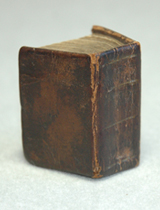 Bible in Miniuture